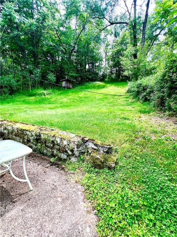 127 Tipple Row Rd, Hempfield Twp Wml, PA 15601 - view of green lawn