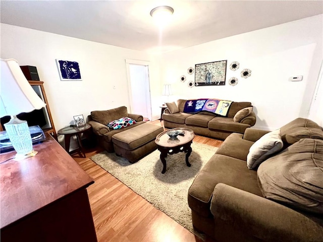 127 Tipple Row Rd, Hempfield Twp Wml, PA 15601 - living room featuring light wood-style flooring