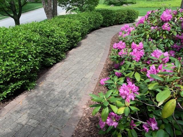3124 Canterbury Dr, Hampton, PA 15101 - view of property's community