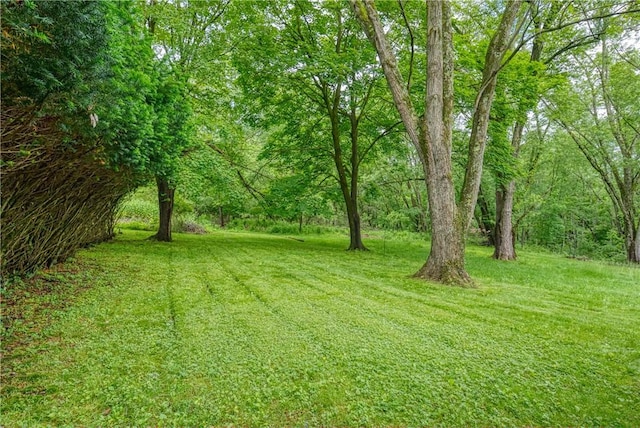 3131 Cheltenham Ct, Hampton, PA 15044 - view of grassy yard
