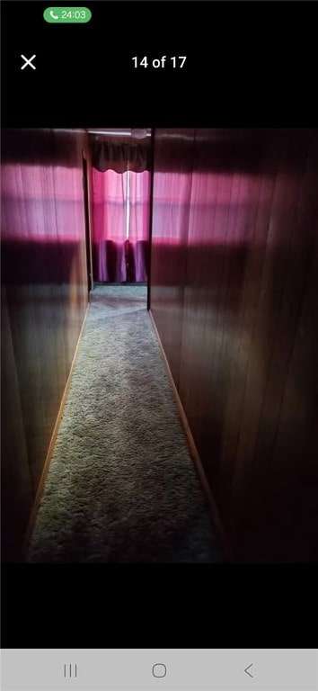 146 Back St, Quemahoning Twp, PA 15936 - hallway featuring carpet flooring