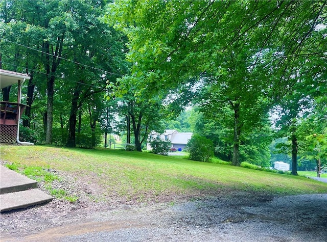 358 Mahood Rd, Center Twp But, PA 16001 - view of grassy yard
