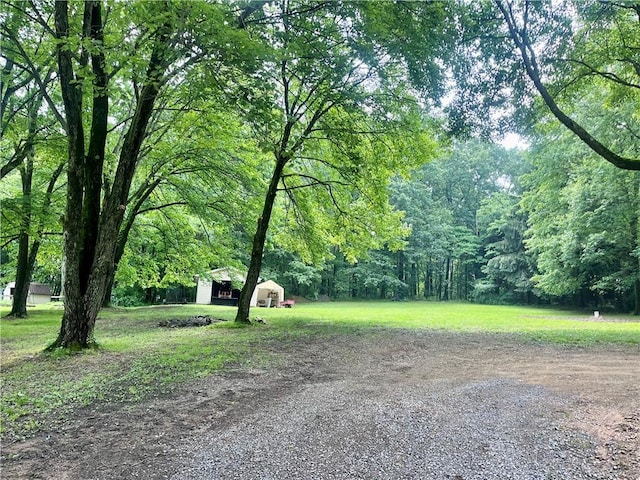 358 Mahood Rd, Center Twp But, PA 16001 - view of green lawn featuring a view of trees, an outdoor structure, and gravel driveway