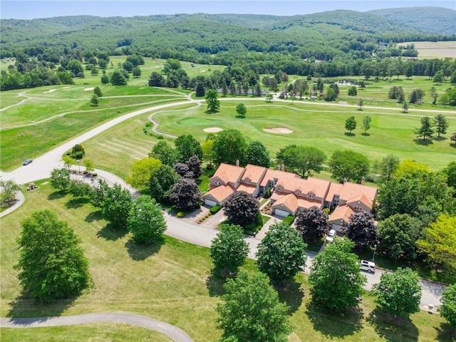 3532 Fairway Ct, Blairsville Area, PA 15717 - bird's eye view