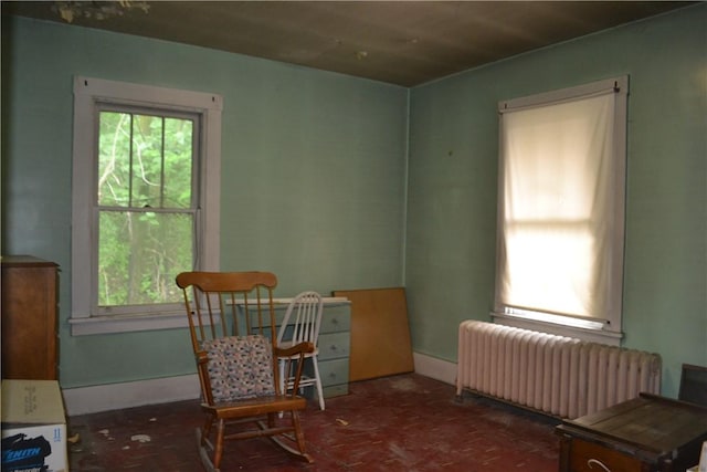 117 Grant Ave, Shaler, PA 15223 - living area with radiator heating unit, plenty of natural light, and baseboards