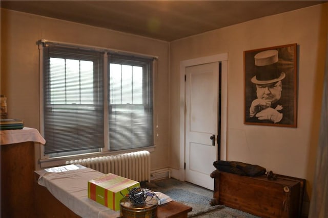 117 Grant Ave, Shaler, PA 15223 - sitting room with radiator heating unit