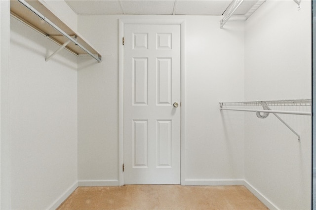 595 Calais Dr Unit 324, Mccandless, PA 15237 - walk in closet with light carpet