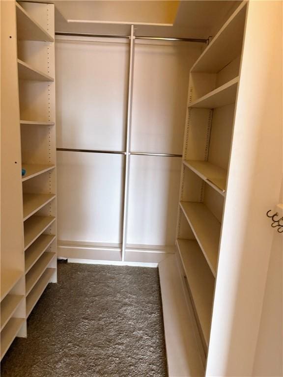220 N Dithridge Unit 907, Oakland, PA 15213 - spacious closet featuring carpet