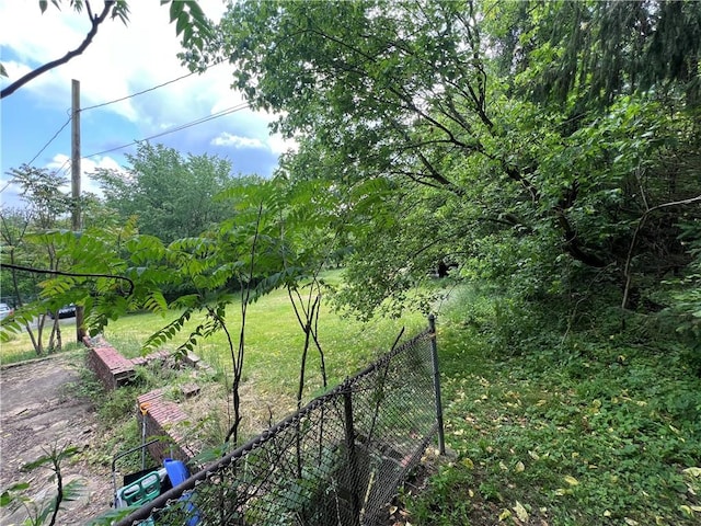 140 Smartnick Rd, Hempfield Twp Wml, PA 15601 - view of yard