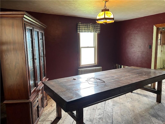 140 Smartnick Rd, Hempfield Twp Wml, PA 15601 - playroom with radiator heating unit, wood-type flooring, and a textured ceiling