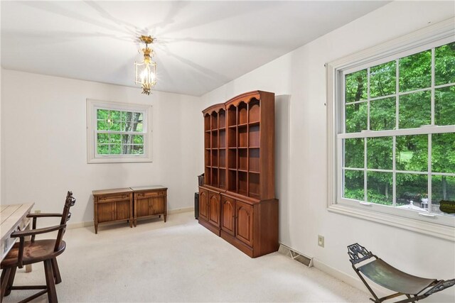 223 Tanglewood Dr, Neshannock Twp, PA 16105 - photo 33