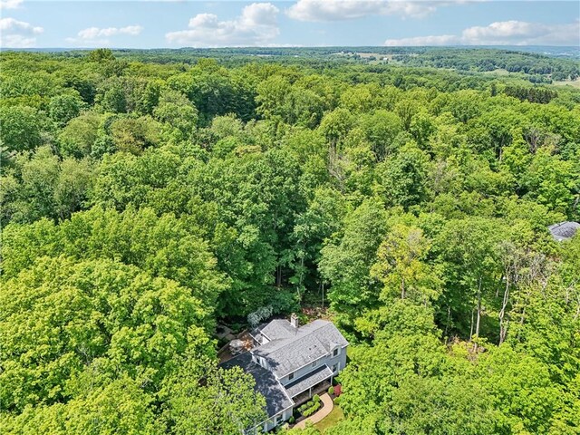 223 Tanglewood Dr, Neshannock Twp, PA 16105 - photo 36
