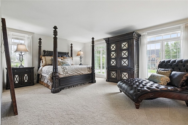 527 Salem Heights Dr, Pine Twp Nal, PA 15044 - view of carpeted bedroom