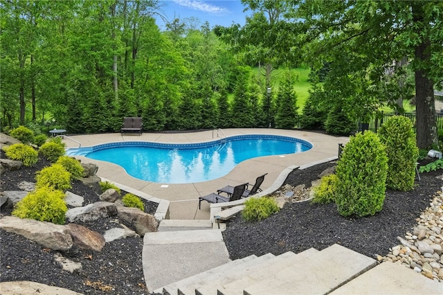 527 Salem Heights Dr, Pine Twp Nal, PA 15044 - swimming pool featuring a patio area and view of wooded area