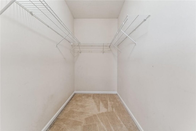 300 Hidden Ridge Ct Unit 203, South Park, PA 15129 - walk in closet featuring light carpet