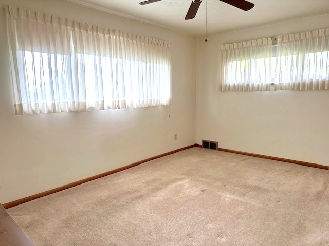 805 Brierly Ln, Munhall, PA 15120 - photo 23