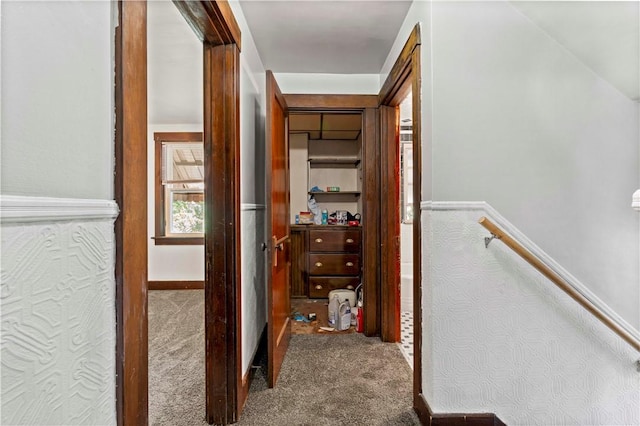 2715 Merwyn Ave, Sheraden, PA 15204 - corridor with carpet and an upstairs landing