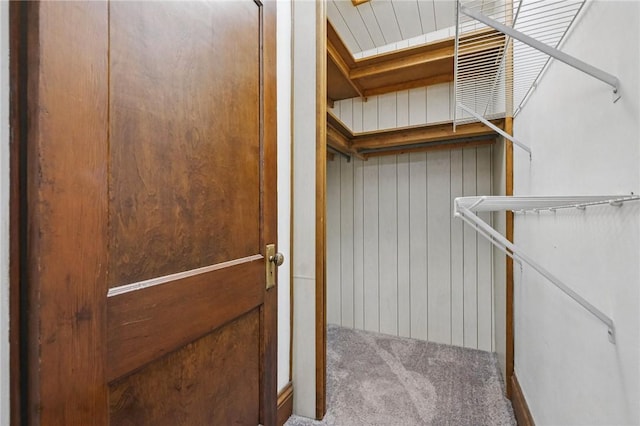 3855 Hiawatha St, Brighton Heights, PA 15212 - walk in closet featuring carpet