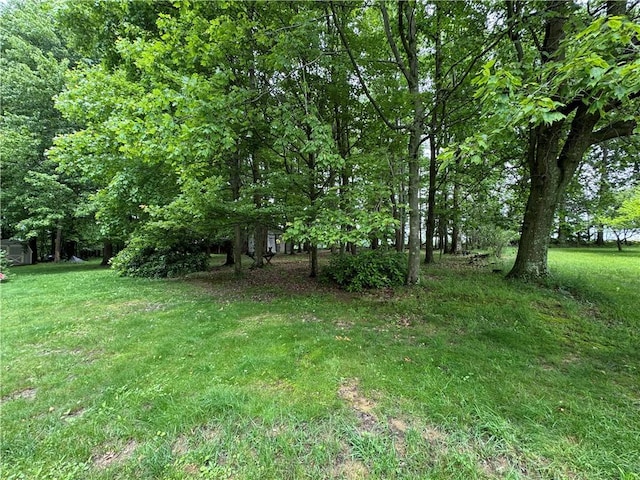 287 Hungarian Rd, Slippery Rock Twp But, PA 16057 - view of grassy yard