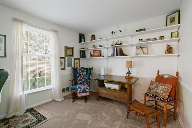 152 N Jamestown Rd, Moon/Crescent Twp, PA 15108 - sitting room with carpet flooring and an office area