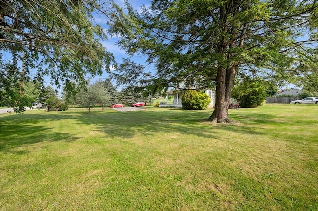 104 Overholt Dr, Scottdale, PA 15683 - view of green lawn