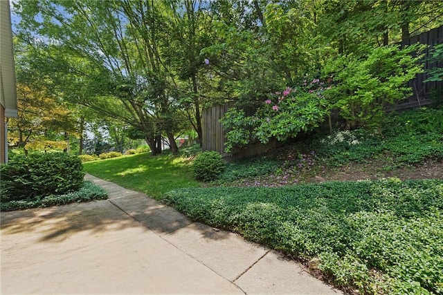 1199 Chestnut St, Indiana Boro Ind, PA 15701 - view of yard featuring a patio area