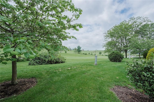3508 Fairway Ct, Burrel/Blacklick, PA 15717 - photo 38