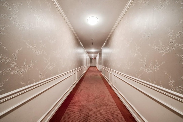 4677 Bayard St Unit 201, Oakland, PA 15213 - hallway featuring crown molding and carpet
