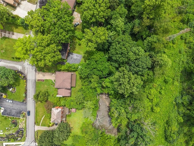 3204 Nottingham Dr, Churchill Boro, PA 15235 - photo 42