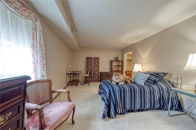 551 Sloop Dr Unit 61, Mccandless, PA 15237 - view of carpeted bedroom