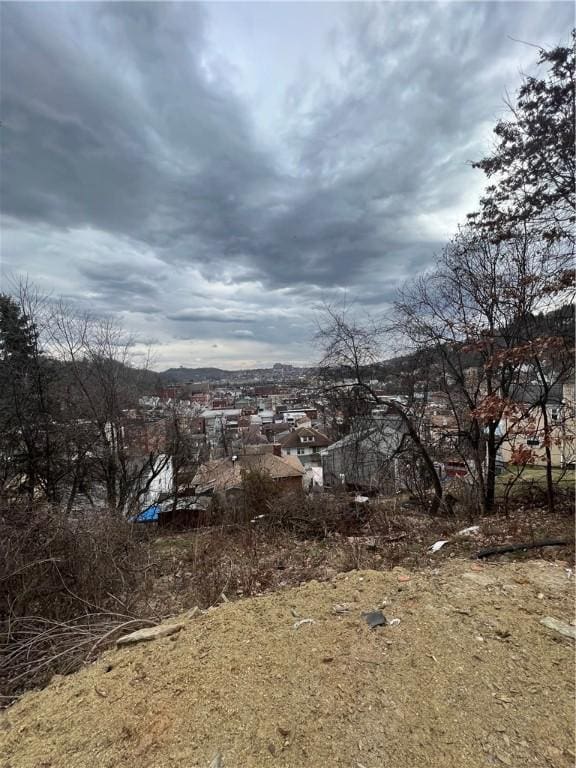 109 Griffith St, Millvale, PA 15209 - view of yard