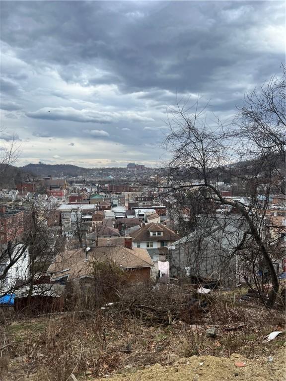 109 Griffith St, Millvale, PA 15209 - mountain view
