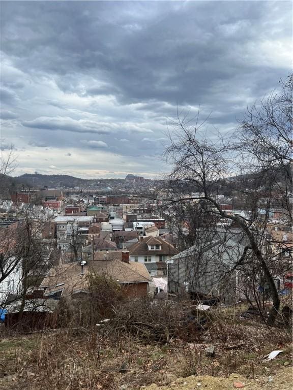 109 Griffith St, Millvale, PA 15209 - view of city
