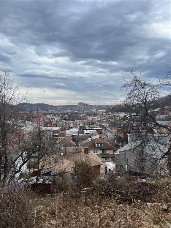 109 Griffith St, Millvale, PA 15209 - view of city