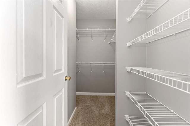 2000 Michael Dr, Baldwin Boro, PA 15227 - walk in closet with carpet