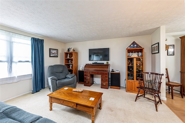 204 Fosterville Rd, Hempfield Twp Wml, PA 15601 - living room featuring a textured ceiling and baseboards