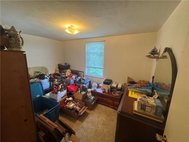 423 Lowell St, Vandergrift Wml, PA 15690 - bedroom featuring carpet floors