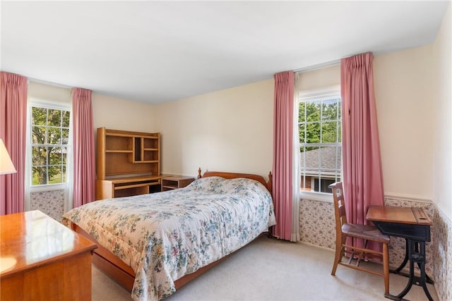 216 Bainbridge Dr, Center Twp Bea, PA 15001 - bedroom featuring multiple windows and carpet flooring