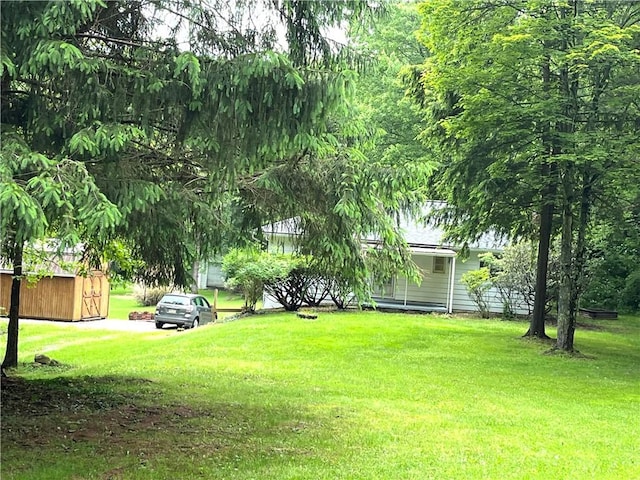 428 Muddy Creek Dr, Brady Twp But, PA 16057 - view of grassy yard