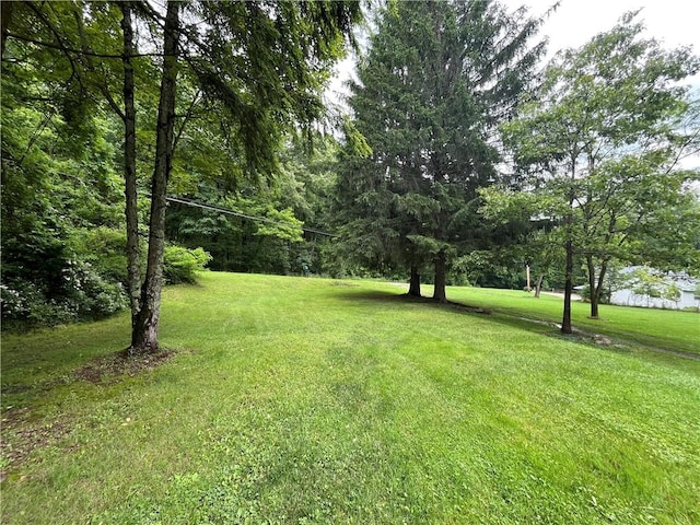428 Muddy Creek Dr, Brady Twp But, PA 16057 - view of green lawn