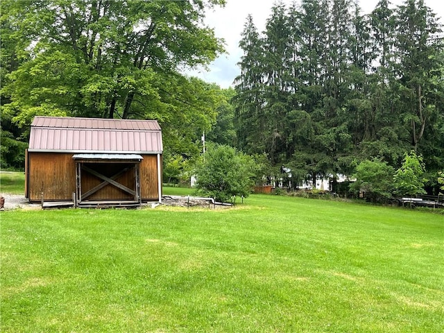 428 Muddy Creek Dr, Brady Twp But, PA 16057 - view of green lawn