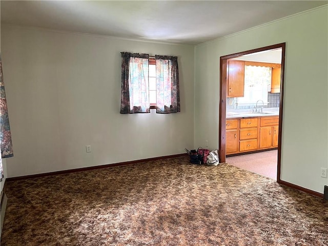 428 Muddy Creek Dr, Brady Twp But, PA 16057 - unfurnished room featuring a sink, light carpet, crown molding, and healthy amount of natural light