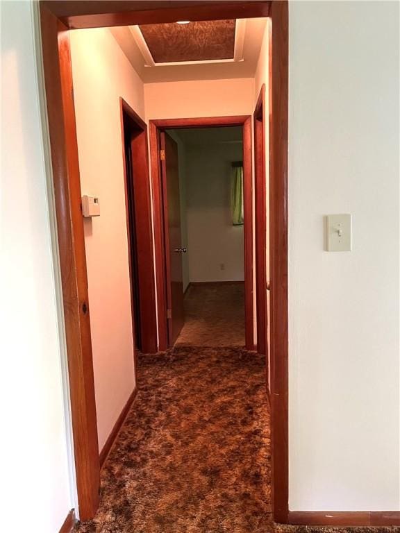 428 Muddy Creek Dr, Brady Twp But, PA 16057 - hallway with dark carpet