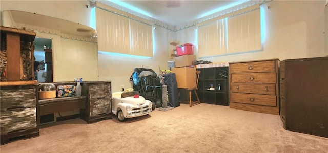132 Sherwood St, Belle Vernon Fay, PA 15012 - miscellaneous room with carpet flooring