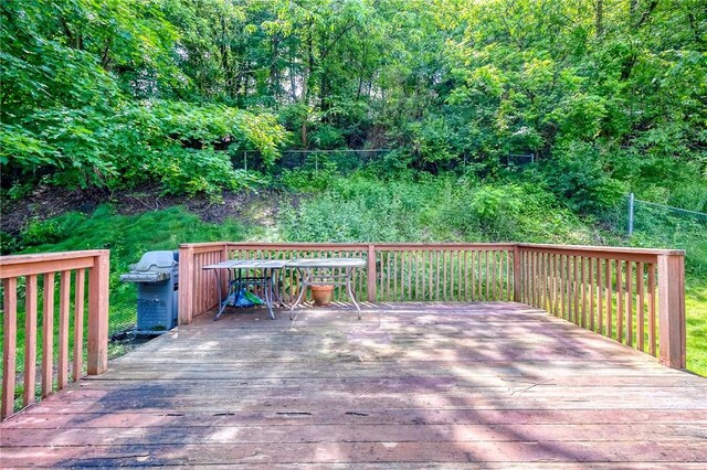 318 Tionesta Dr, Plum Boro, PA 15068 - photo 20