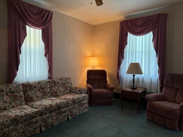 134 E Harvey Ave, Masontown, PA 15461 - living area with carpet flooring, healthy amount of natural light, ornamental molding, and ceiling fan
