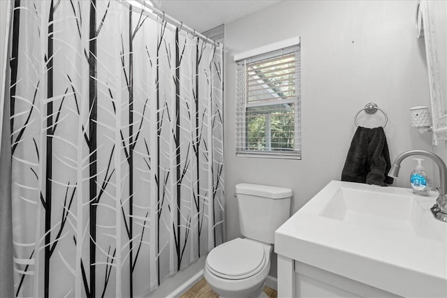 259 Old Blackhawk Rd, Chippewa Twp, PA 15010 - full bath with toilet, vanity, and a shower with curtain