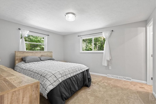 259 Old Blackhawk Rd, Chippewa Twp, PA 15010 - carpeted bedroom featuring multiple windows and baseboards