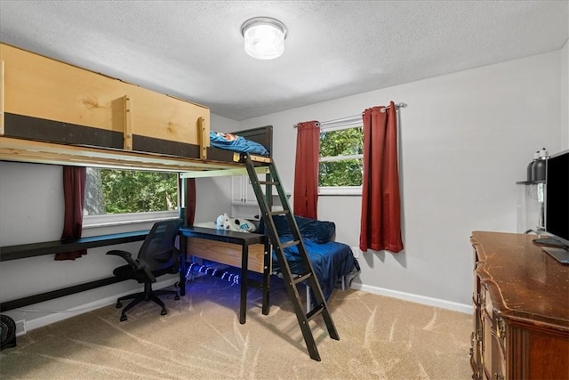 259 Old Blackhawk Rd, Chippewa Twp, PA 15010 - bedroom featuring light colored carpet, a textured ceiling, baseboards, and an office area