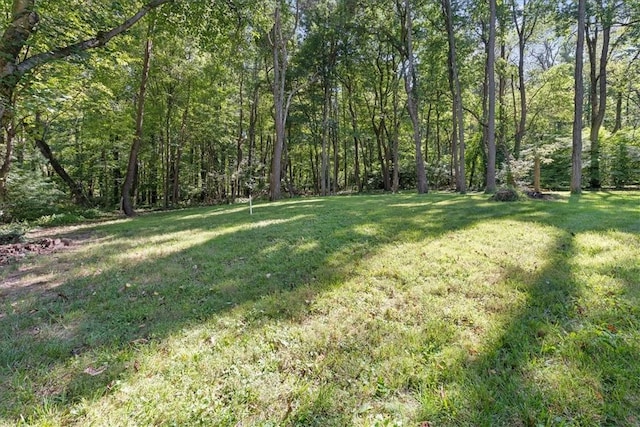 259 Old Blackhawk Rd, Chippewa Twp, PA 15010 - view of green lawn with a wooded view